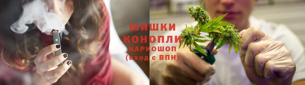 прущая мука Верея