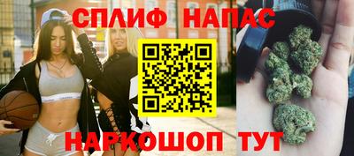 дмт Кинель