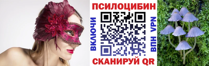 Галлюциногенные грибы Psilocybine cubensis Северобайкальск