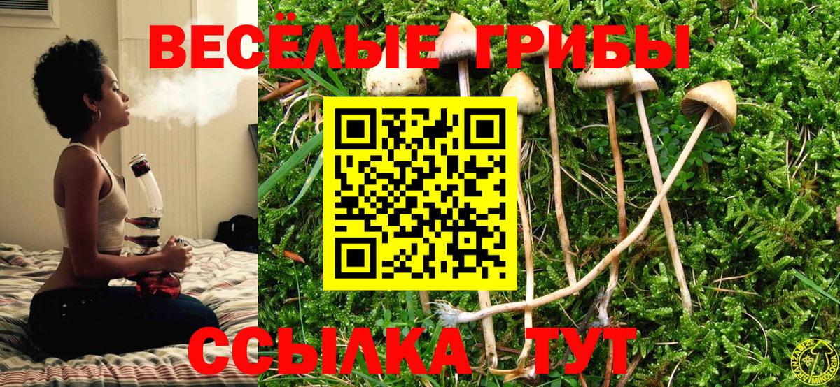 Псилоцибиновые грибы мицелий  Псилоцибиновые грибы мухоморы  Вход с VPN  Северобайкальск 